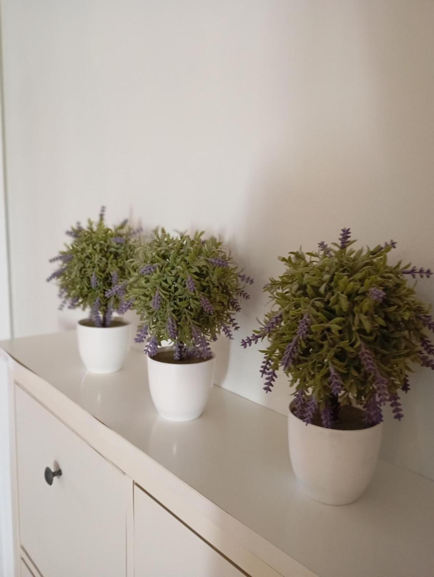 Tiny Little Suite Athens Ngoại thất bức ảnh